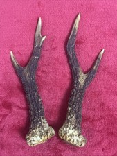 PAIR OF ROE DEER ANTLERS 