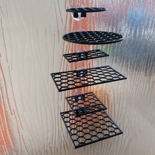 Moss growing shelf ledge mesh - moss,