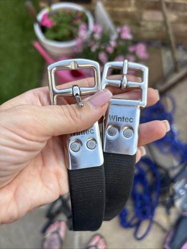 Wintec stirrup leathers - stirrup,