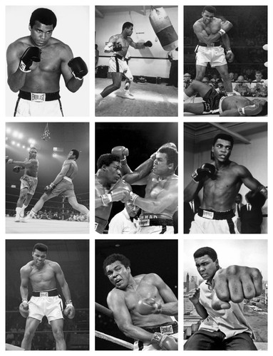Muhammad ali boxing poster - ,