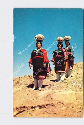 Ppc postcard native - postcard, americana