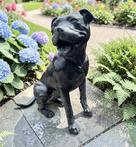 Staffordshire bull terrier - bull,