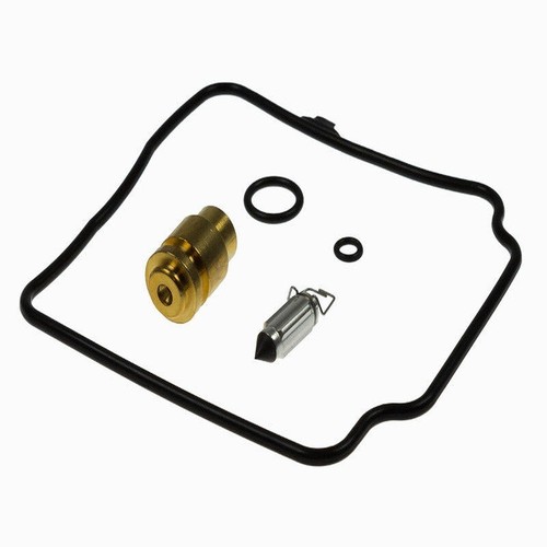 Carburetor overhaul kit - overhaul,