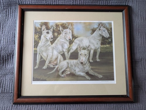Julie brenan limited edition - limited,