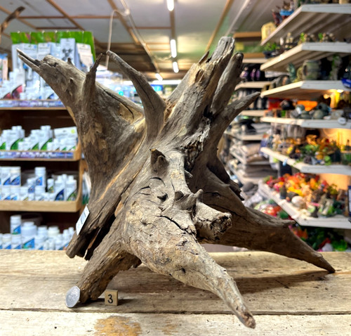Large corbo root aquarium - large,