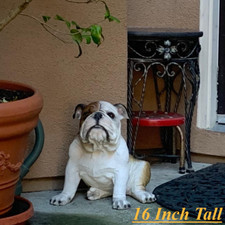 Realistic Sitting English