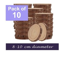 Wood Slices for Crafts (10