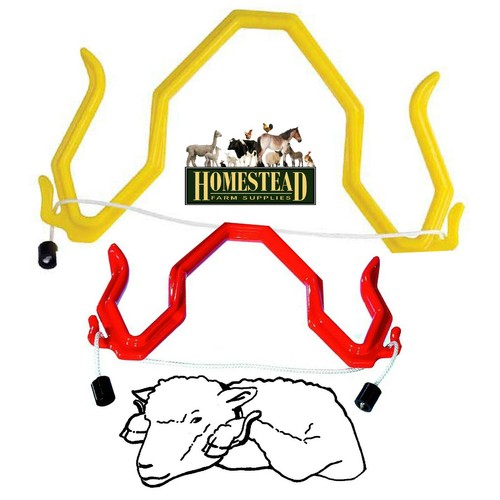 Gambrel sheep restrainer - gambrel,