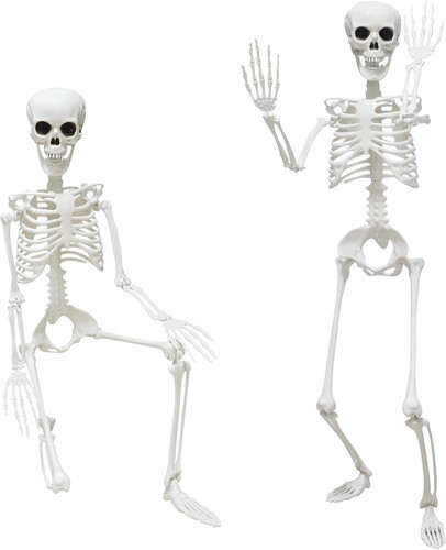 Life size skeleton with - size,