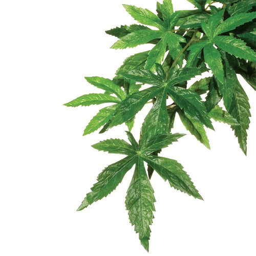 Exo terra reptile decor silk - terra,