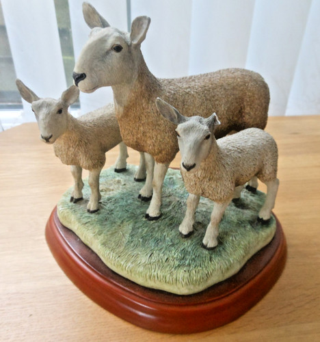 Border fine arts sheep breeds - border,