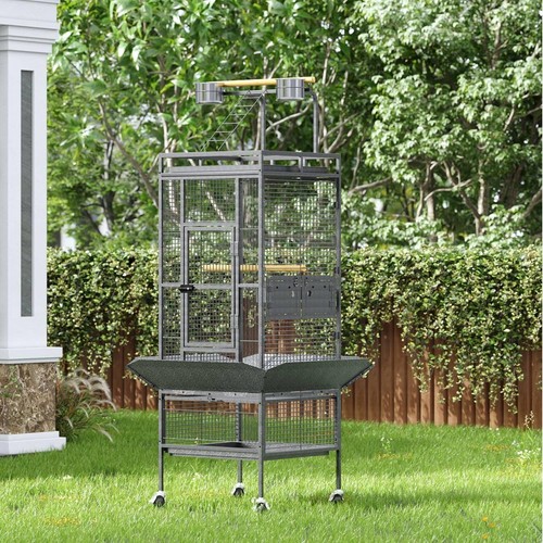 155cm playtop parrot - playtop,