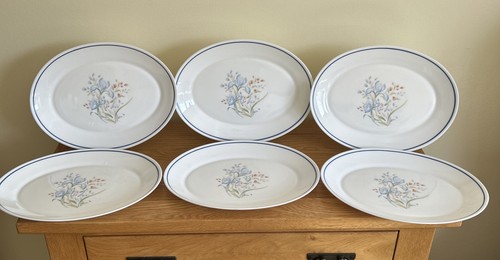 Pyrex oval blue iris - iris, steak