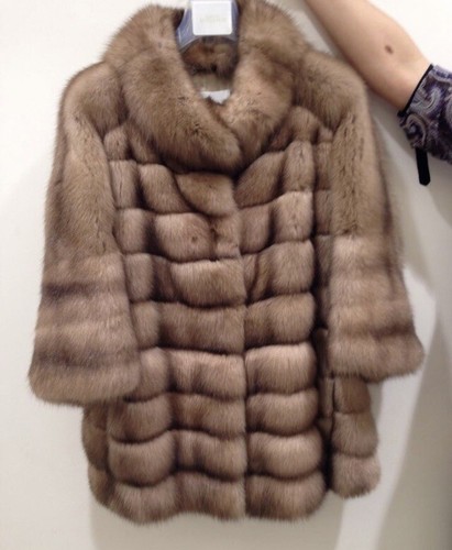 Russian barguzin sable - russian,