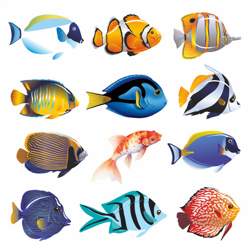 Tropical fish vinyl art - tropical,