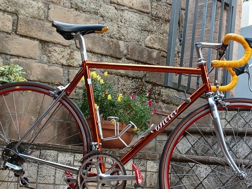 Wilier triestina ramata - ramata, team