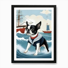 Boston Terrier