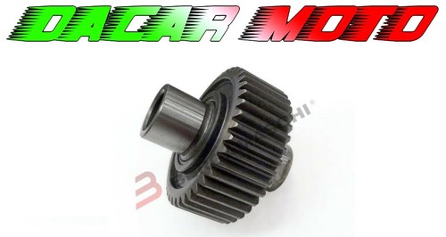 Starter motor sprocket - sprocket, harley