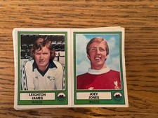 Panini Euro Football 78 Blue