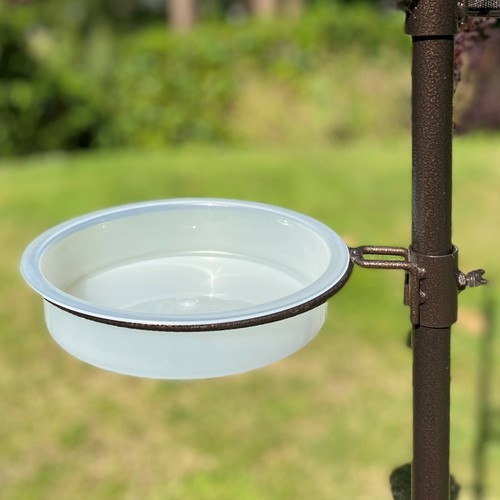 Bird feeding station - bird,
