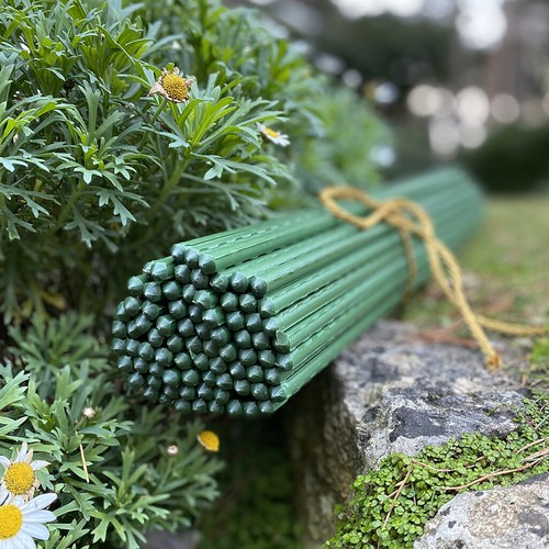 Plant support stakes sticks - support,