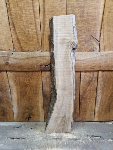 Live edge holly - edge, (050)