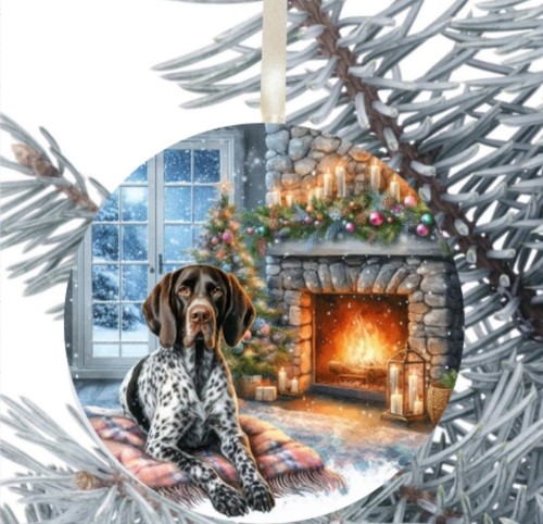 German shorthaired pointer dog - shorthaired,