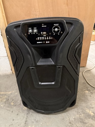 Portable speaker with - 12",