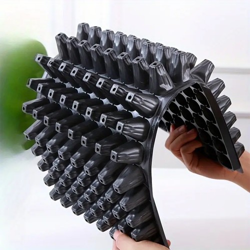 Root trainer seed - 10,
