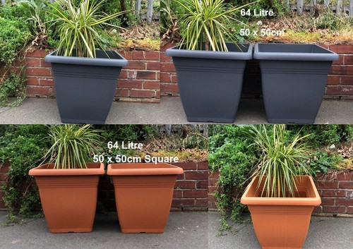 Pack large 50cm - of, 2
