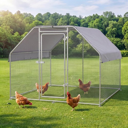 Large chicken coop - chicken,