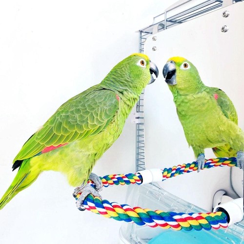 Acrylic bird mirror - acrylic,