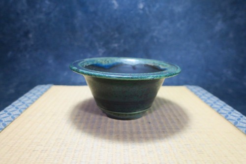 Genuine japanese bonsai - bonsai, pot