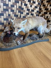 Taxidermy Fox And Pheasant