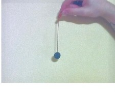 MAGNETIC SEXER FOR HATCHING