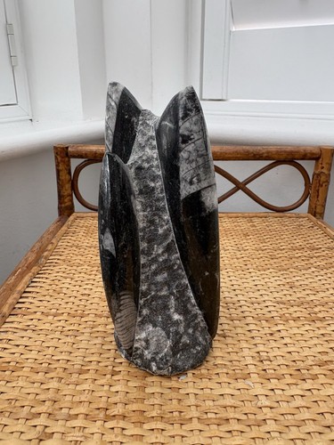 Orthoceras fossil tower - tower, —