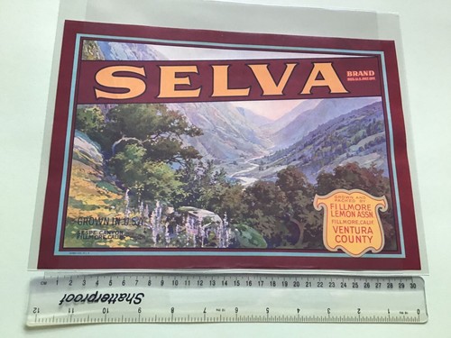 Selva brand vintage american - vintage,