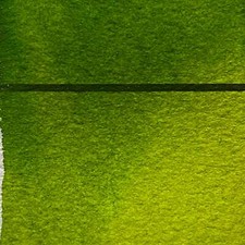 Sap Green Finest Professional