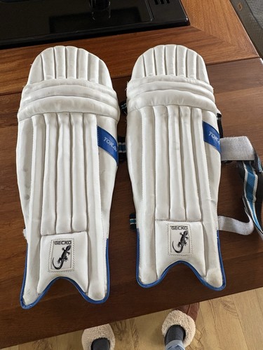 Gecko boys cricket pads - gecko,
