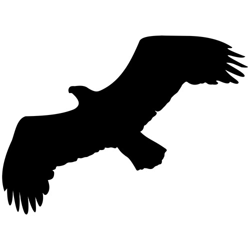 Flying eagle bird vinyl decal - vinyl,