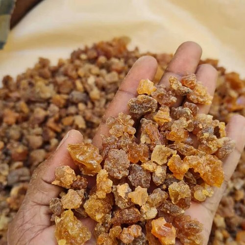 Sweet myrrh resin - resin, (somali)