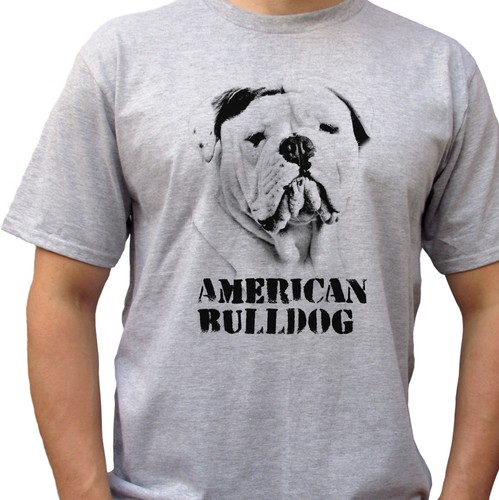 American bulldog grey t - bulldog,