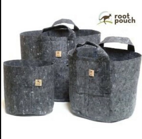 Root pouch litre gray - 30,