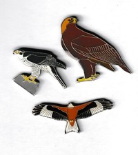 RSPB Pin Badges - 3 raptors -