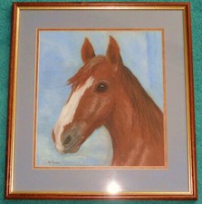 Attractive Original Pastel Equestrian Portrait Picture Of Horse's Head By M Moon