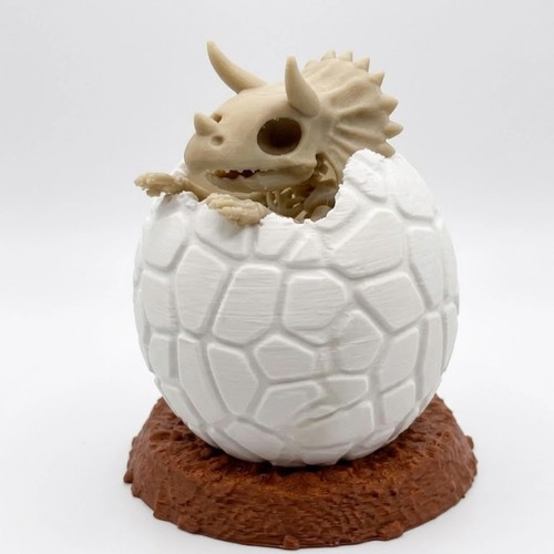 Baby triceratops skeleton - baby, in