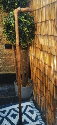 Hand crafted hazel root - hand,