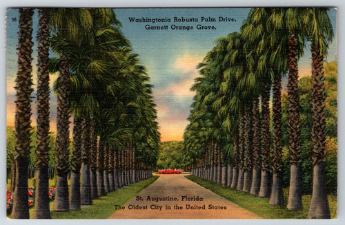 1943 augustine fl - st.,