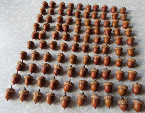 Huge lot 100 - lot, oak