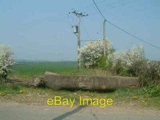 Photo 6x4 Telephone poles with a solid wood protection Edingale  c2007